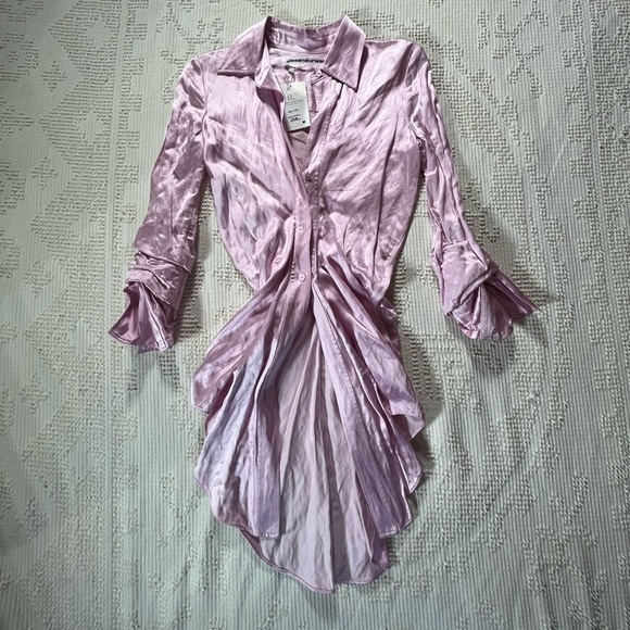 Alexander Wang Dresses & Skirts - Alexander Wang Light Pink Satin shirt dress